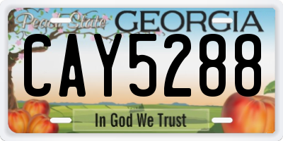GA license plate CAY5288