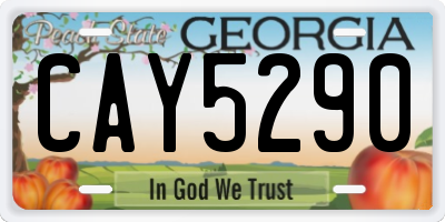 GA license plate CAY5290