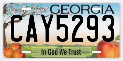 GA license plate CAY5293