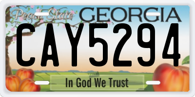 GA license plate CAY5294