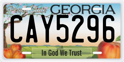 GA license plate CAY5296