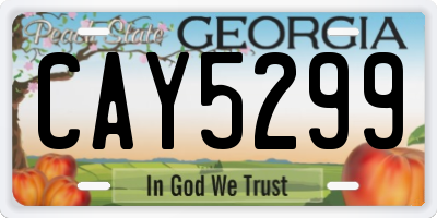 GA license plate CAY5299