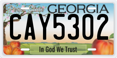 GA license plate CAY5302