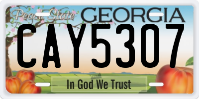 GA license plate CAY5307