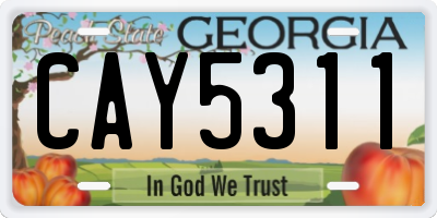 GA license plate CAY5311