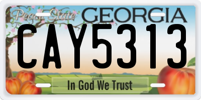 GA license plate CAY5313