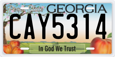 GA license plate CAY5314