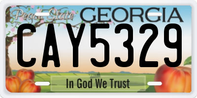 GA license plate CAY5329
