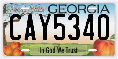 GA license plate CAY5340