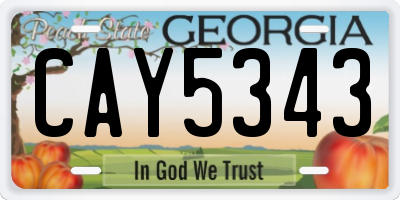 GA license plate CAY5343