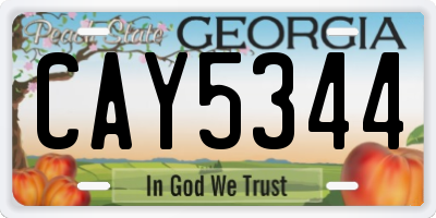 GA license plate CAY5344