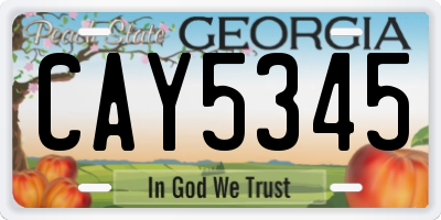 GA license plate CAY5345