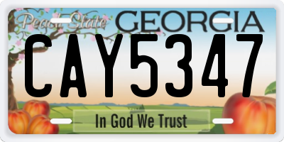 GA license plate CAY5347