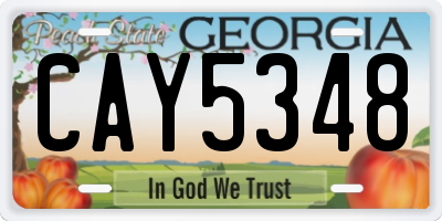 GA license plate CAY5348