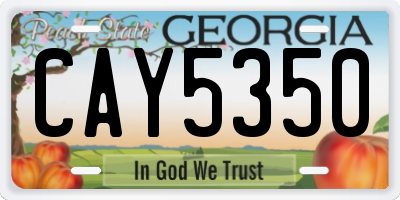 GA license plate CAY5350