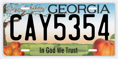 GA license plate CAY5354