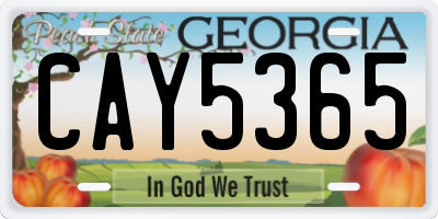GA license plate CAY5365