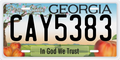 GA license plate CAY5383