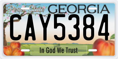 GA license plate CAY5384