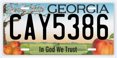 GA license plate CAY5386