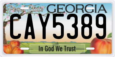 GA license plate CAY5389