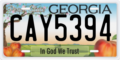 GA license plate CAY5394