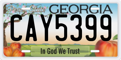 GA license plate CAY5399
