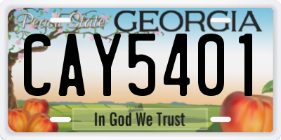 GA license plate CAY5401