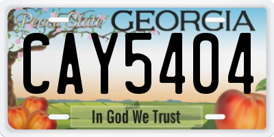 GA license plate CAY5404
