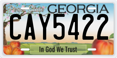 GA license plate CAY5422