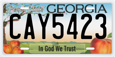 GA license plate CAY5423
