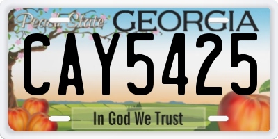 GA license plate CAY5425