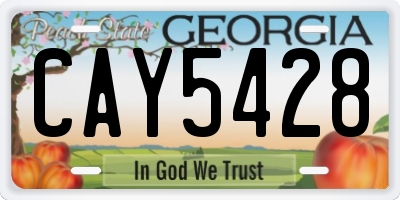 GA license plate CAY5428