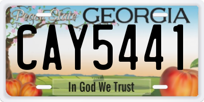 GA license plate CAY5441