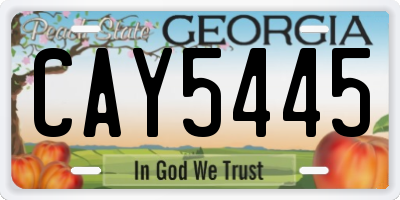 GA license plate CAY5445