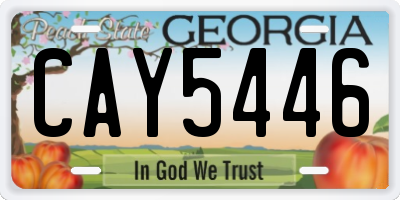 GA license plate CAY5446