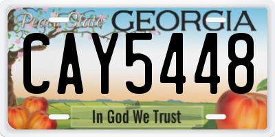 GA license plate CAY5448