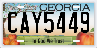 GA license plate CAY5449