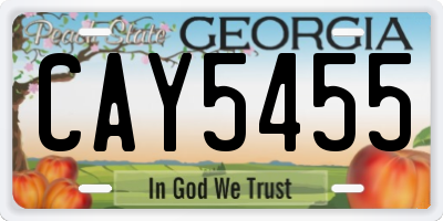 GA license plate CAY5455