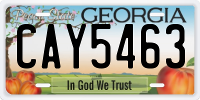 GA license plate CAY5463