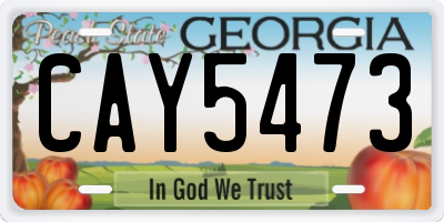 GA license plate CAY5473