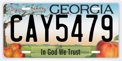 GA license plate CAY5479