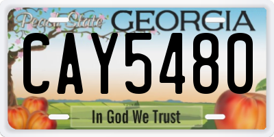 GA license plate CAY5480