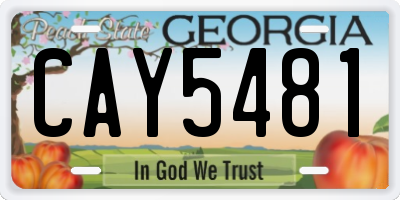 GA license plate CAY5481