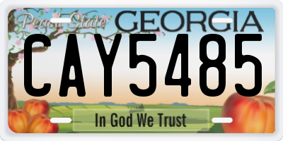 GA license plate CAY5485