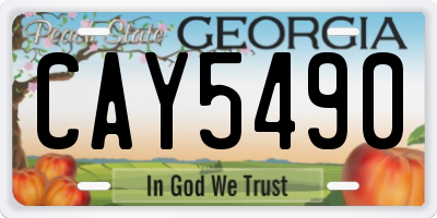 GA license plate CAY5490