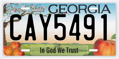 GA license plate CAY5491