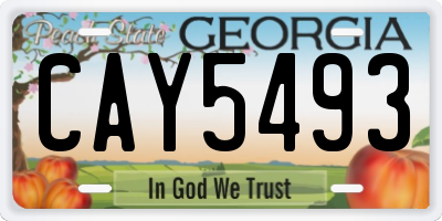 GA license plate CAY5493