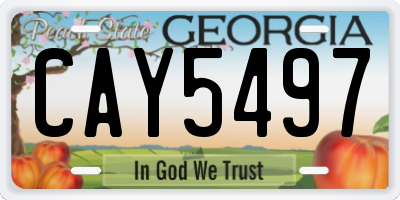 GA license plate CAY5497