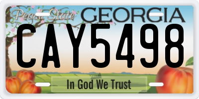 GA license plate CAY5498